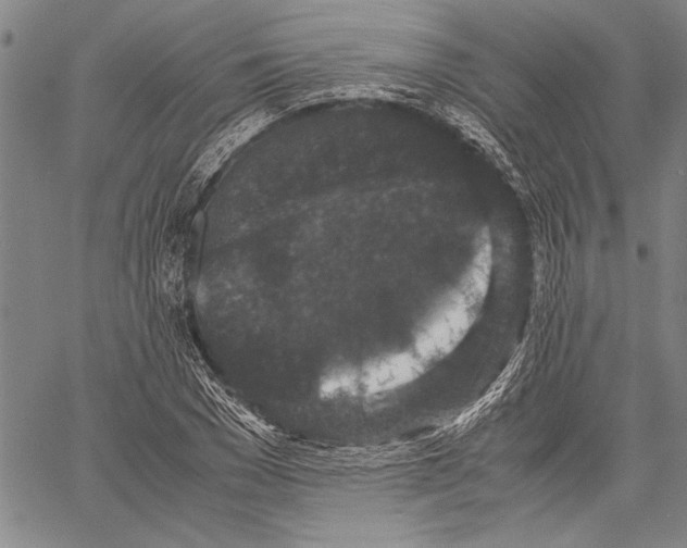 X0000060550977200512011612