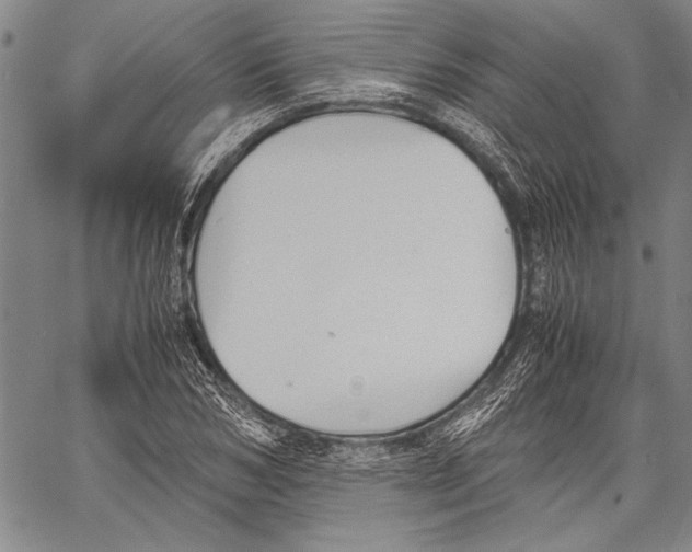 X0000060550978200512011612