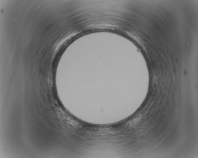 X0000060550979200512011612