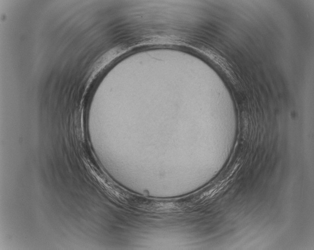 X0000060550982200512011612