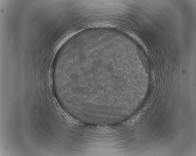 X0000060550983200512011612