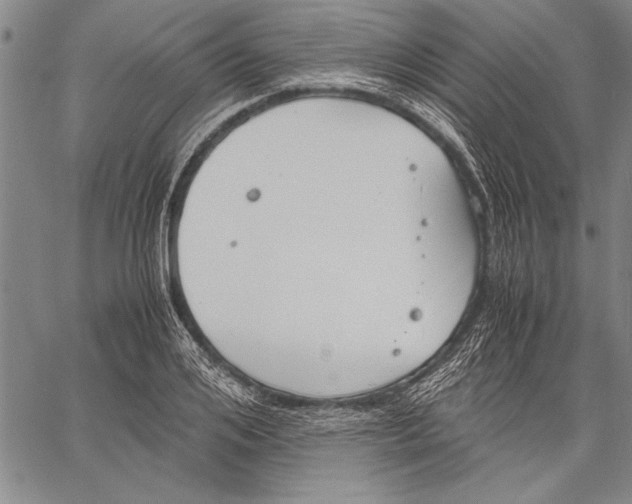 X0000060550984200512011612