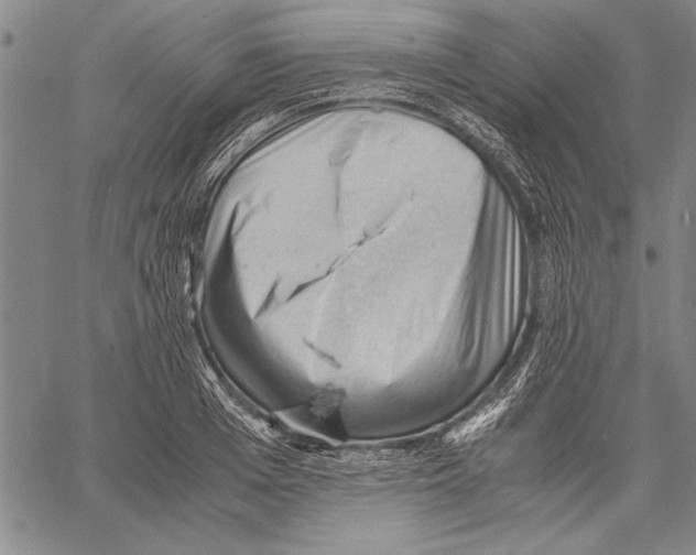 X0000060550985200512011612