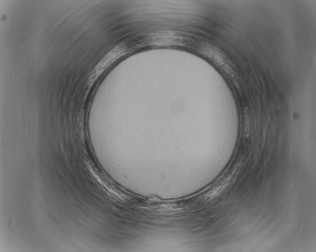 X0000060550986200512011612