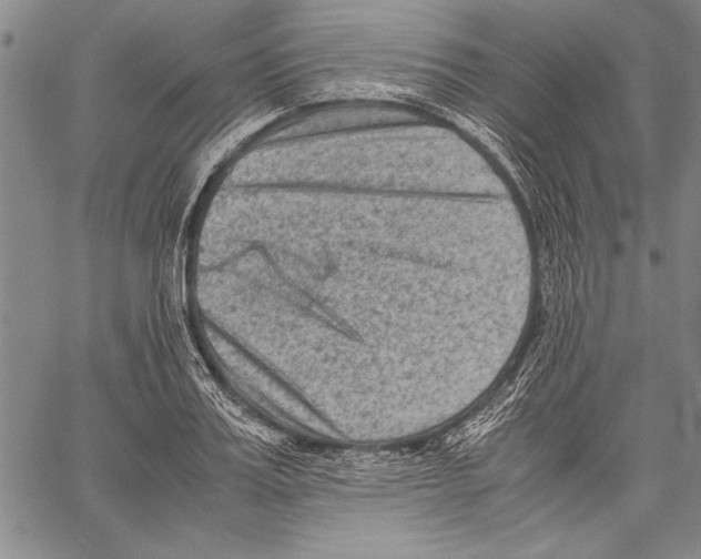 X0000060550987200512011612