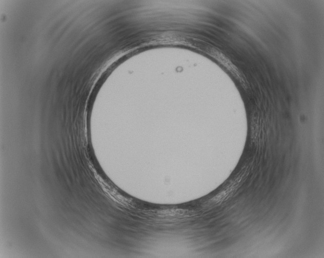 X0000060550988200512011612