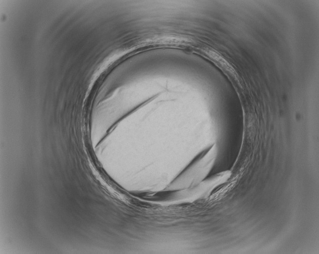 X0000060550989200512011612