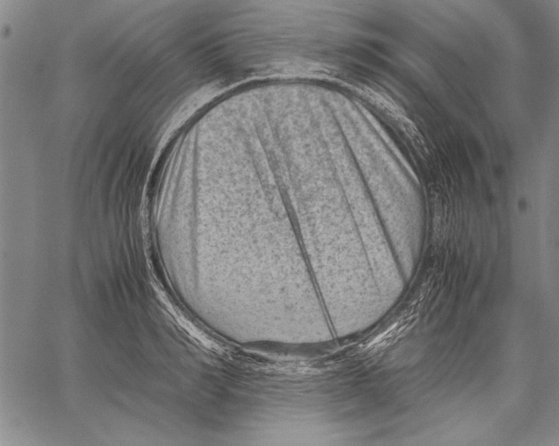 X0000060550990200512011612