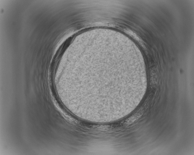 X0000060550991200512011612