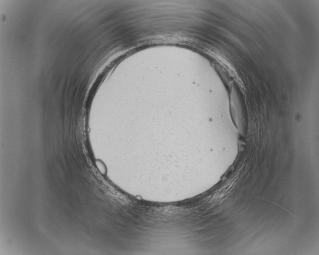 X0000060550992200512011612