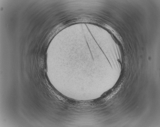 X0000060550993200512011612