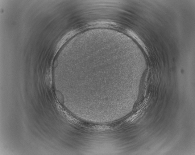 X0000060550994200512011612