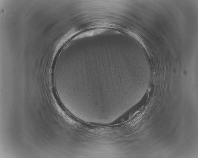 X0000060550995200512011612