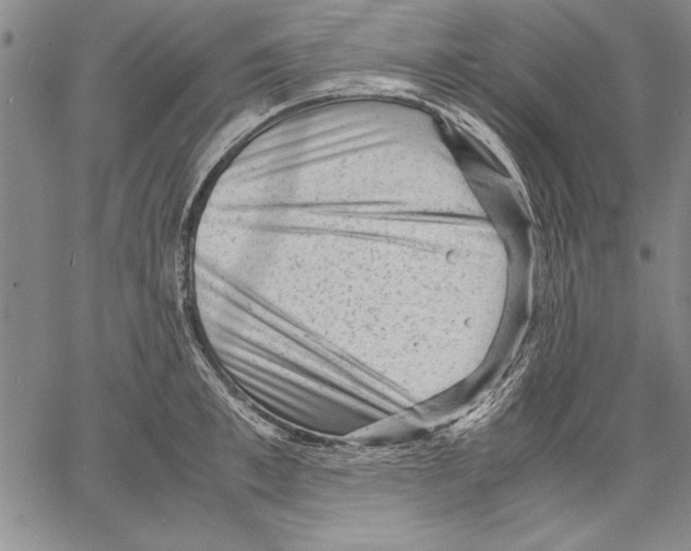 X0000060550997200512011611