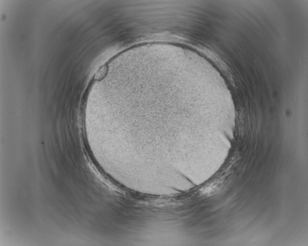 X0000060550998200512011611