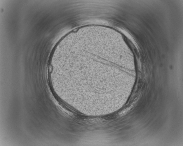 X0000060550999200512011611