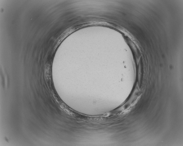 X0000060551001200512011611