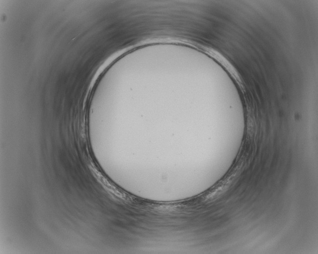 X0000060551004200512011611