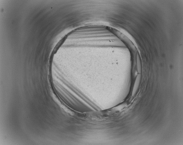 X0000060551005200512011611