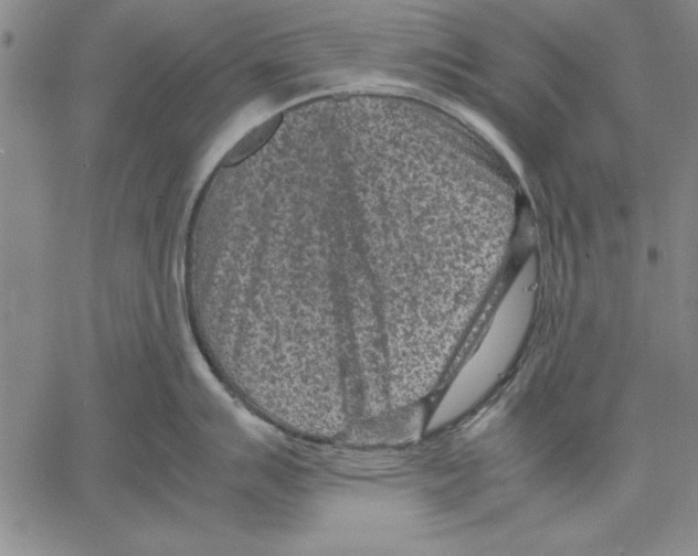 X0000060551007200512011611