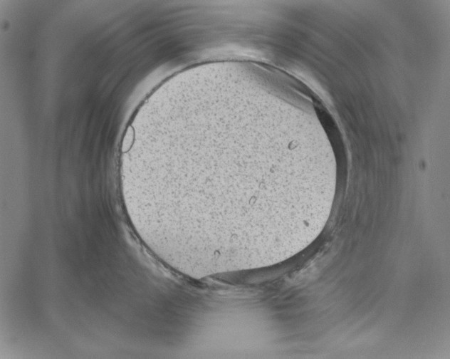 X0000060551008200512011611