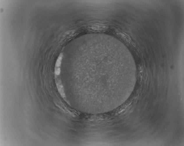 X0000060551009200512011611