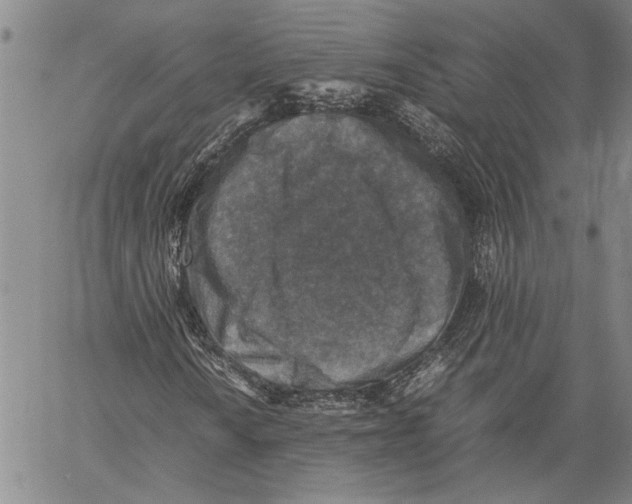 X0000060551010200512011611