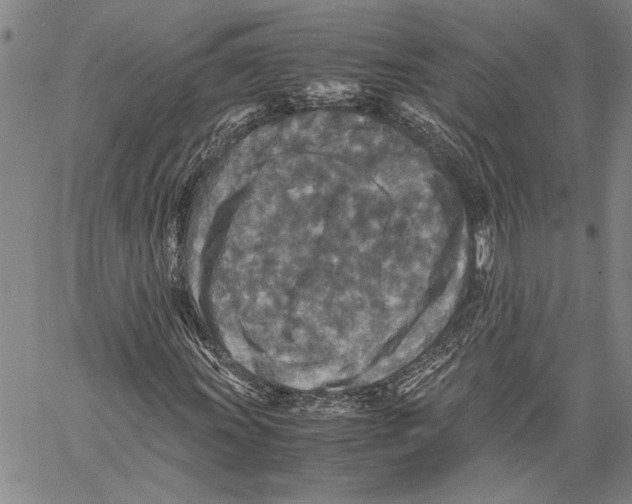 X0000060551011200512011611