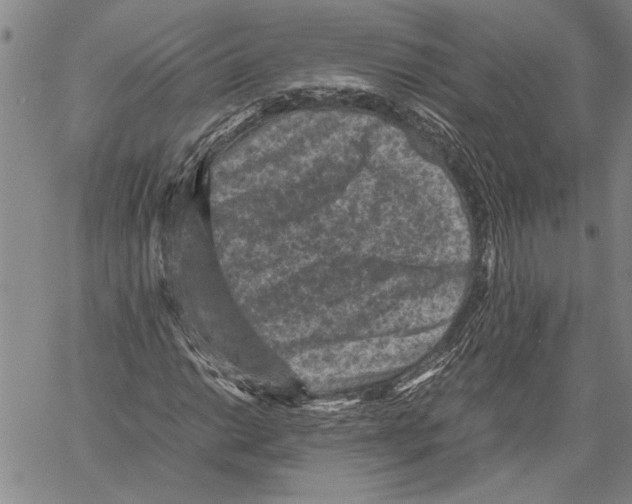 X0000060551014200512011611