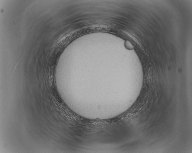 X0000060551015200512011611