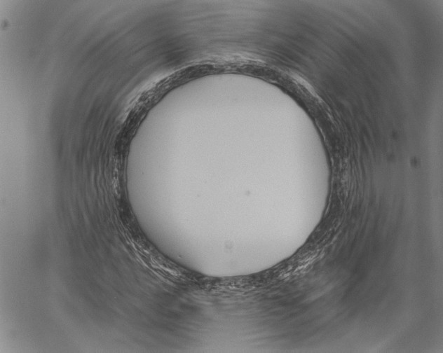 X0000060551016200512011611