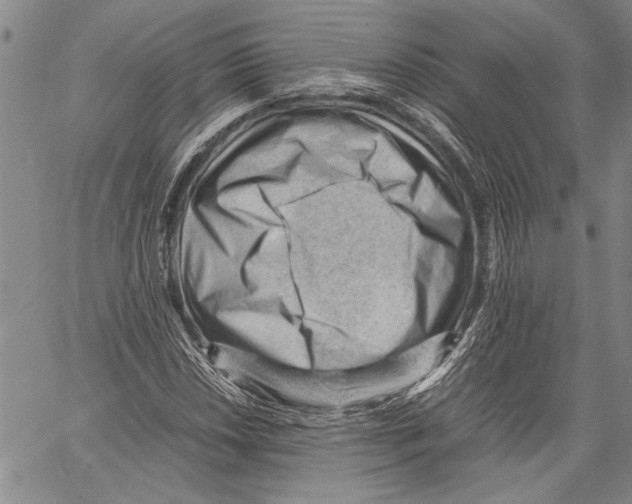 X0000060551018200512011611