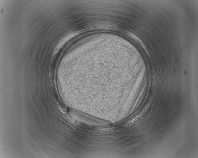 X0000060551019200512011611