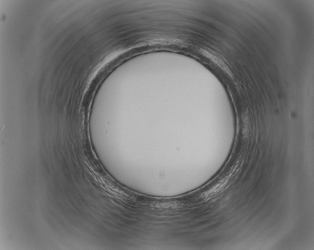 X0000060551021200512011611