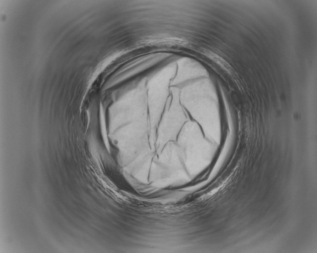 X0000060551022200512011611