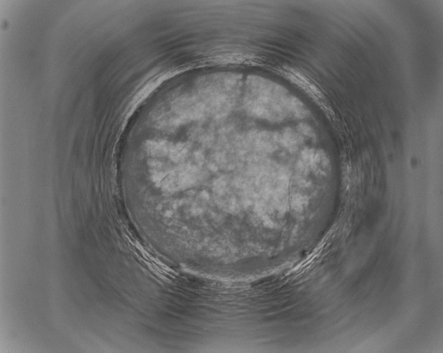 X0000060551023200512011611