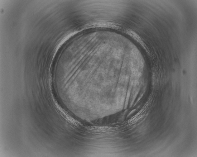 X0000060551024200512011611