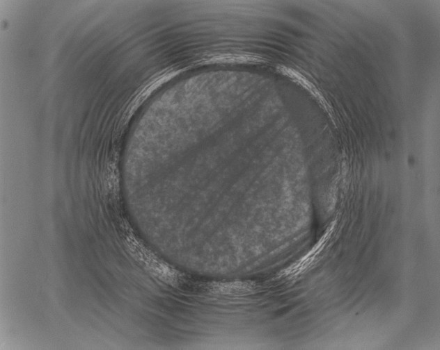 X0000060551025200512011611