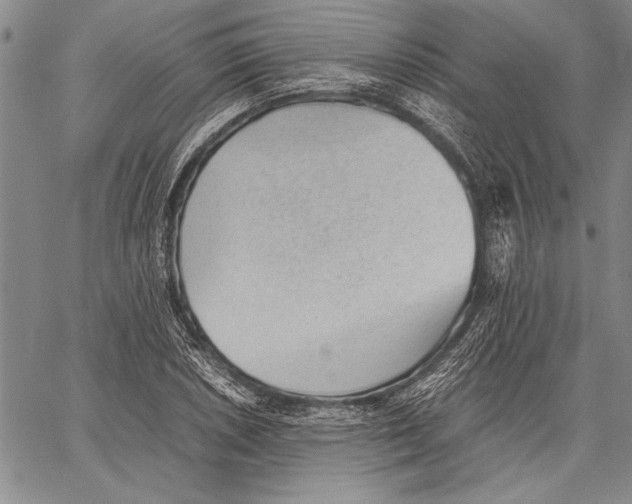 X0000060551026200512011611