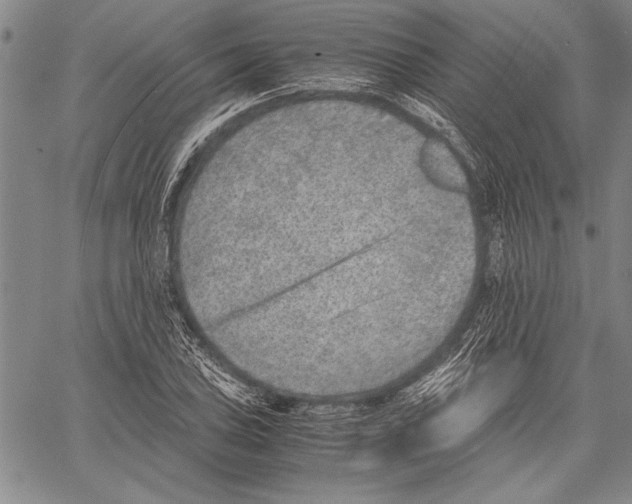 X0000060551027200512011611