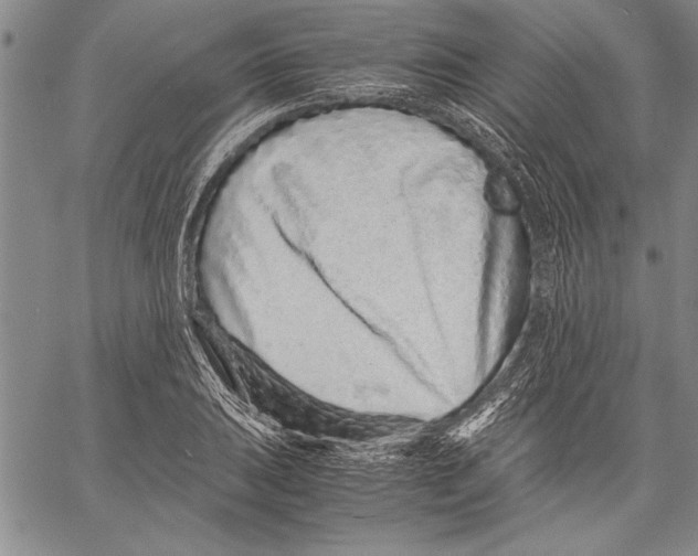 X0000060551031200512011611