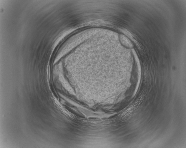 X0000060551032200512011611