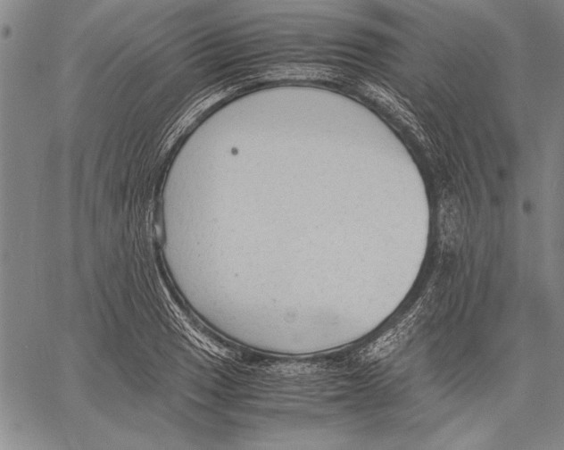 X0000060551033200512011611