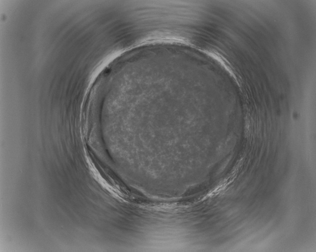 X0000060551038200512011611