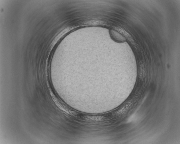 X0000060551039200512011611