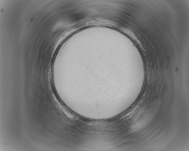 X0000060551040200512011611