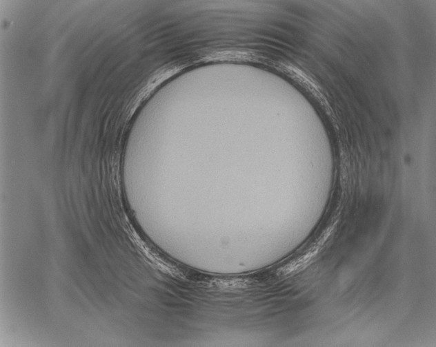 X0000060551041200512011611