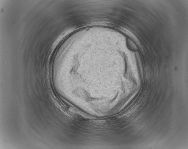 X0000060551043200512011611