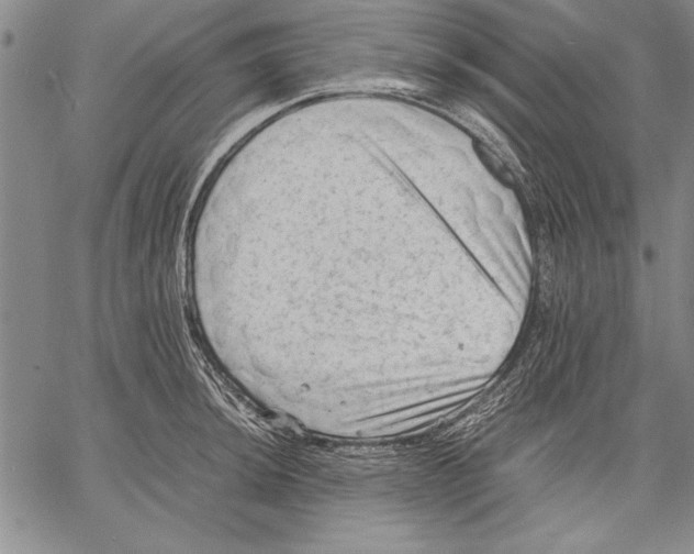 X0000060551044200512011611