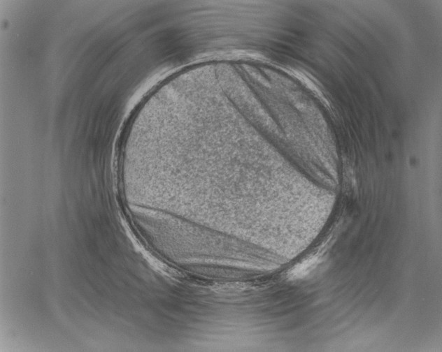 X0000060551046200512011611